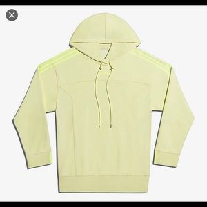 Ivy Park Hoodie